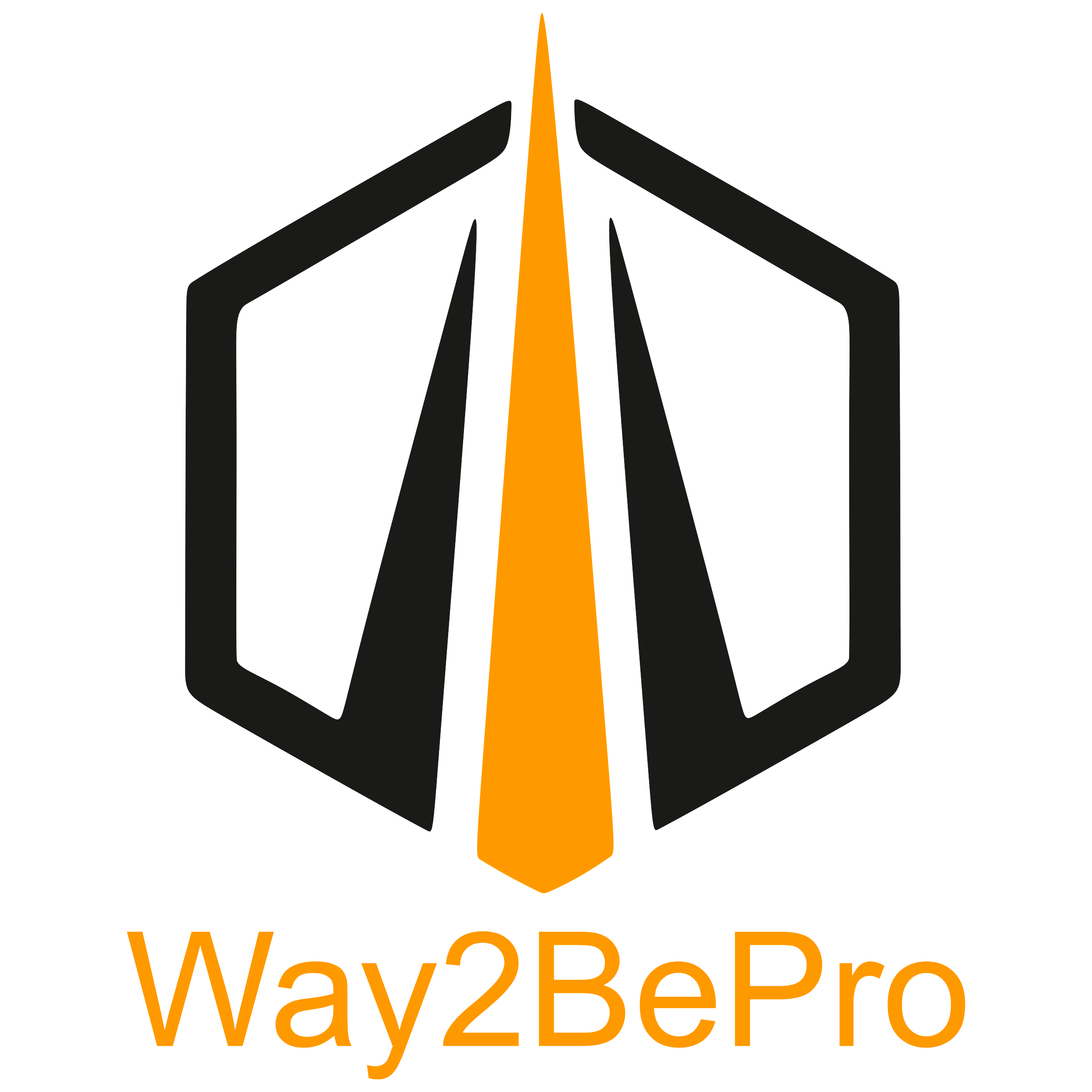 الإحترافية